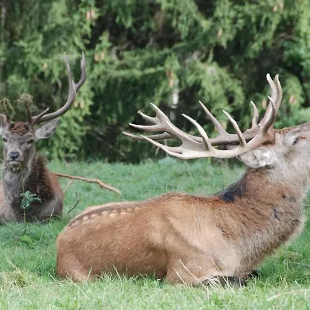 F Selbstversorger Gut Jaegerhof Adults Only אתר קמפינג Semriach