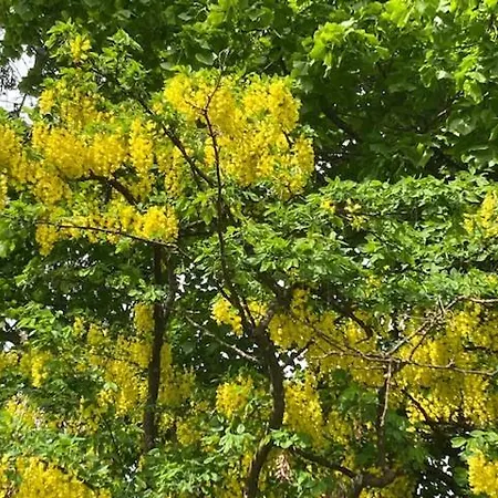 F Selbstversorger Gut Jaegerhof Adults Only