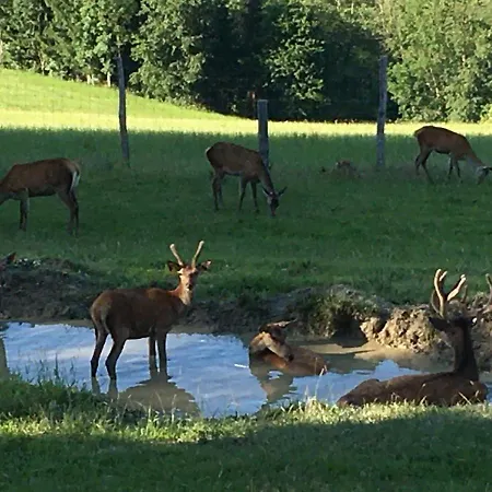 F Selbstversorger Gut Jaegerhof Adults Only Semriach