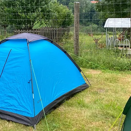 F Selbstversorger Gut Jaegerhof Adults Only *