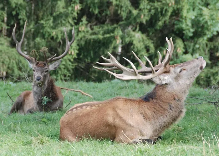 F Selbstversorger Gut Jaegerhof Adults Only مكان تخييم Semriach