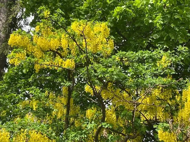 F Selbstversorger Gut Jaegerhof Adults Only