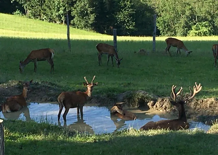 F Selbstversorger Gut Jaegerhof Adults Only Semriach