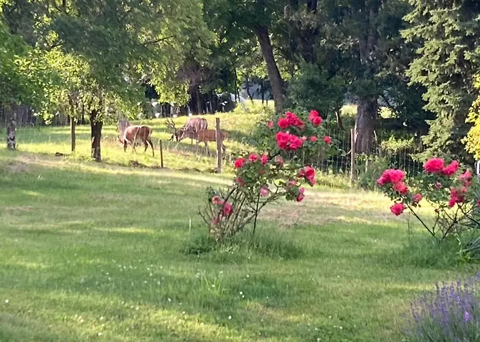 F Selbstversorger Gut Jaegerhof Adults Only Semriach