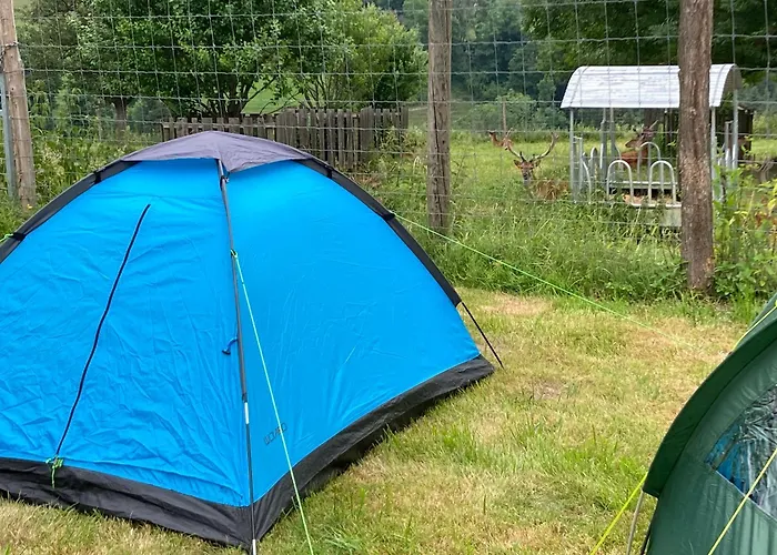 F Selbstversorger Gut Jaegerhof Adults Only *